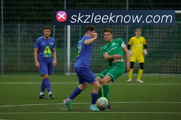 体育直播服务